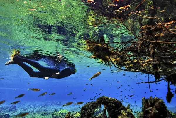 (Video) Dari Trek Jalan Kaki Bertukar Taman Rekreasi Bawah Air Yang Cukup Cantik