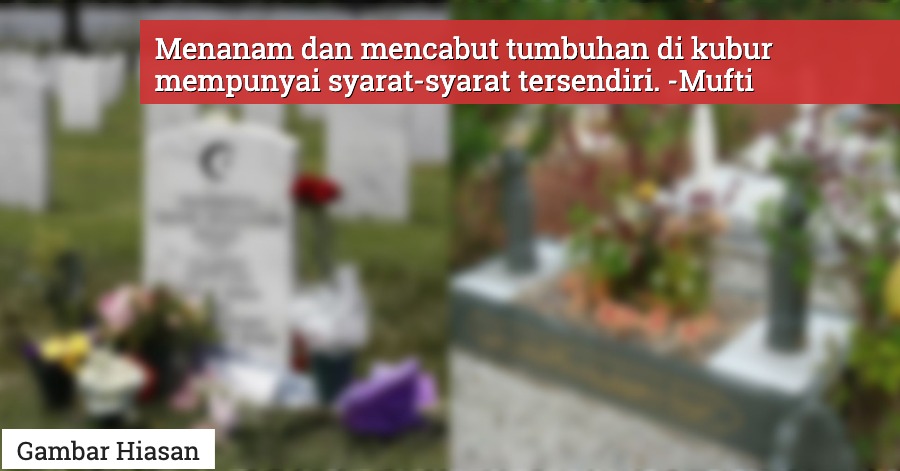 Hukum Tanam Pokok Kecil Cabut Rerumput Atas Kubur Dijelaskan Mufti