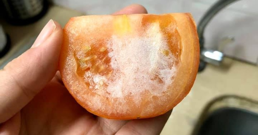 Mungkin Ada Yang Tak Tahu Guna Tomato Ice Boleh Hilangkan Jerawat Di Muka