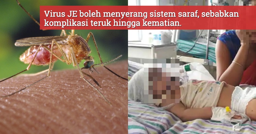 Beberapa Kes Dilaporkan Di Malaysia Ini Bahaya Penyakit Je Cara Pencegahan