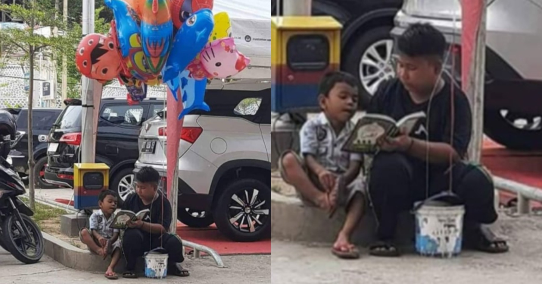 Ягнок. Ягненок взрослый. Ягнок. Ewe kakak. Овца с ягненком.