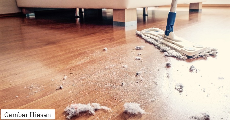 Dari Mana Datangnya Habuk Dan Debu Dalam Rumah Kita Ini Jawapannya Dari Mana Datangnya Habuk Dan Debu Dalam Rumah Kita Ini Jawapannya