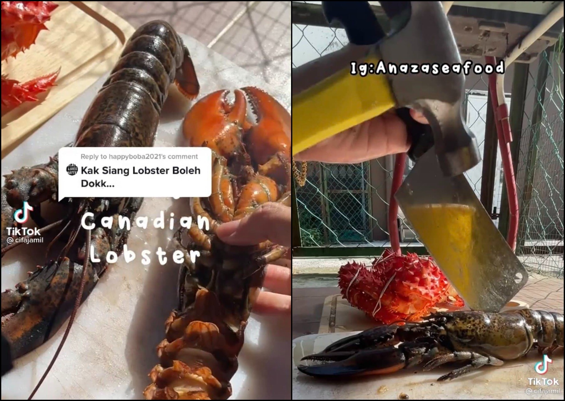 “Kepala Dia Keras Sikit Macam Kelapa Hampa..,” Cara Mudah