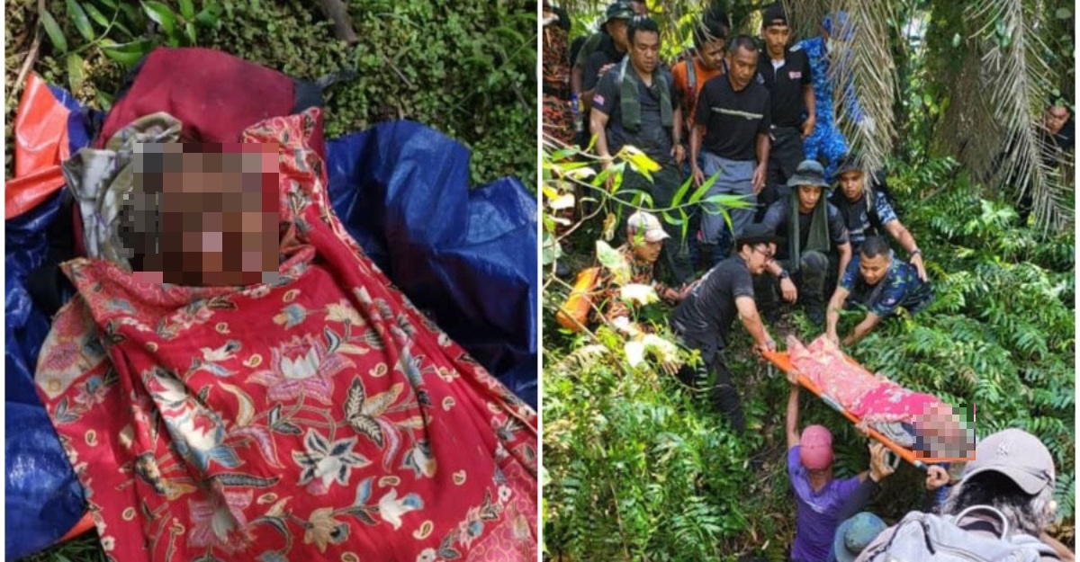 Warga Emas Hilang Lima Hari Di Kebun Sawit Ditemukan Selamat