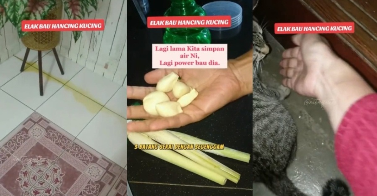 Guna Tiga Bahan Je, Cara Buat “Spray” Elak Kucing Kencing Merata
